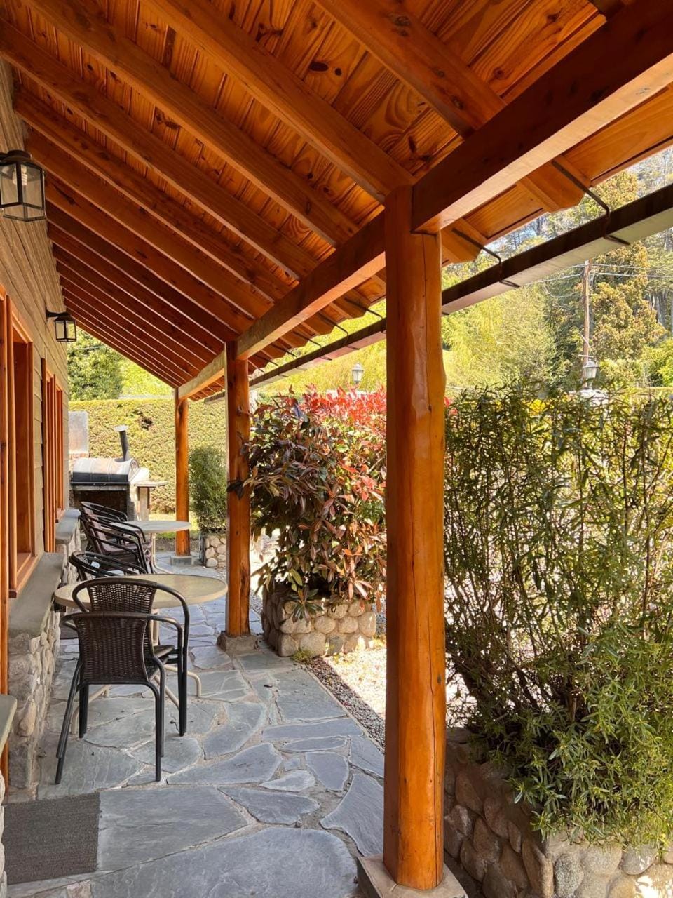 Duplex Ñancu Lahuen 1 Y 2 Apartment in Villa Traful