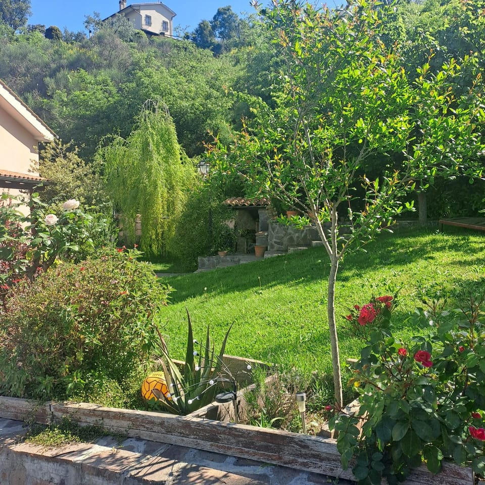 A casa di Matisse Bed and Breakfast in Lazio