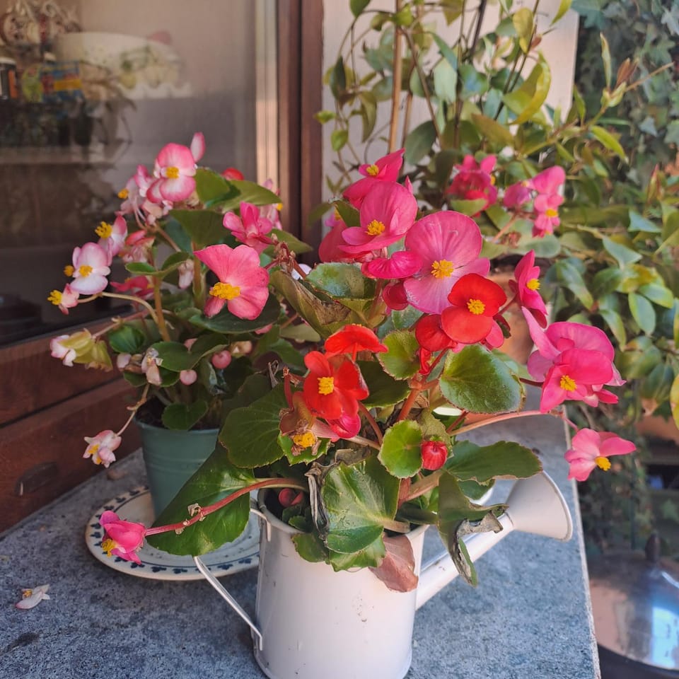 A casa di Matisse Bed and Breakfast in Lazio