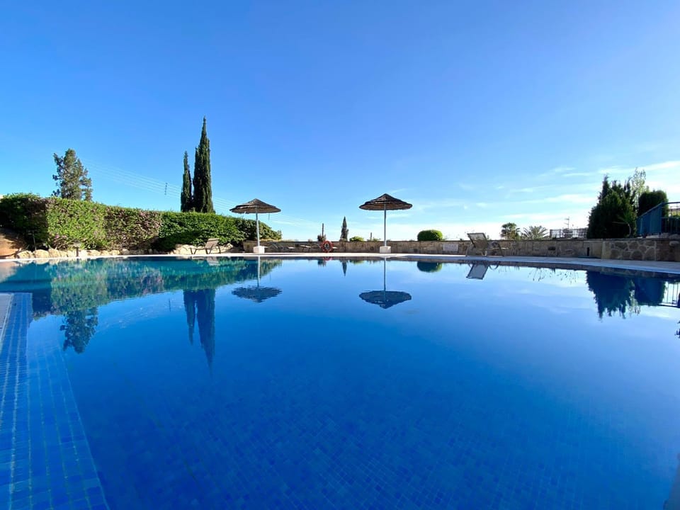 Day, Pool view, Swimming pool, sunbed