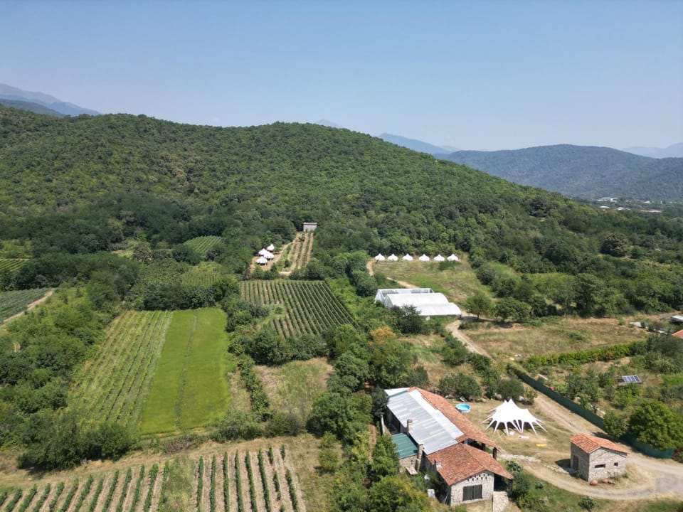 Peace Camp Gremi Luxury tent in Georgia