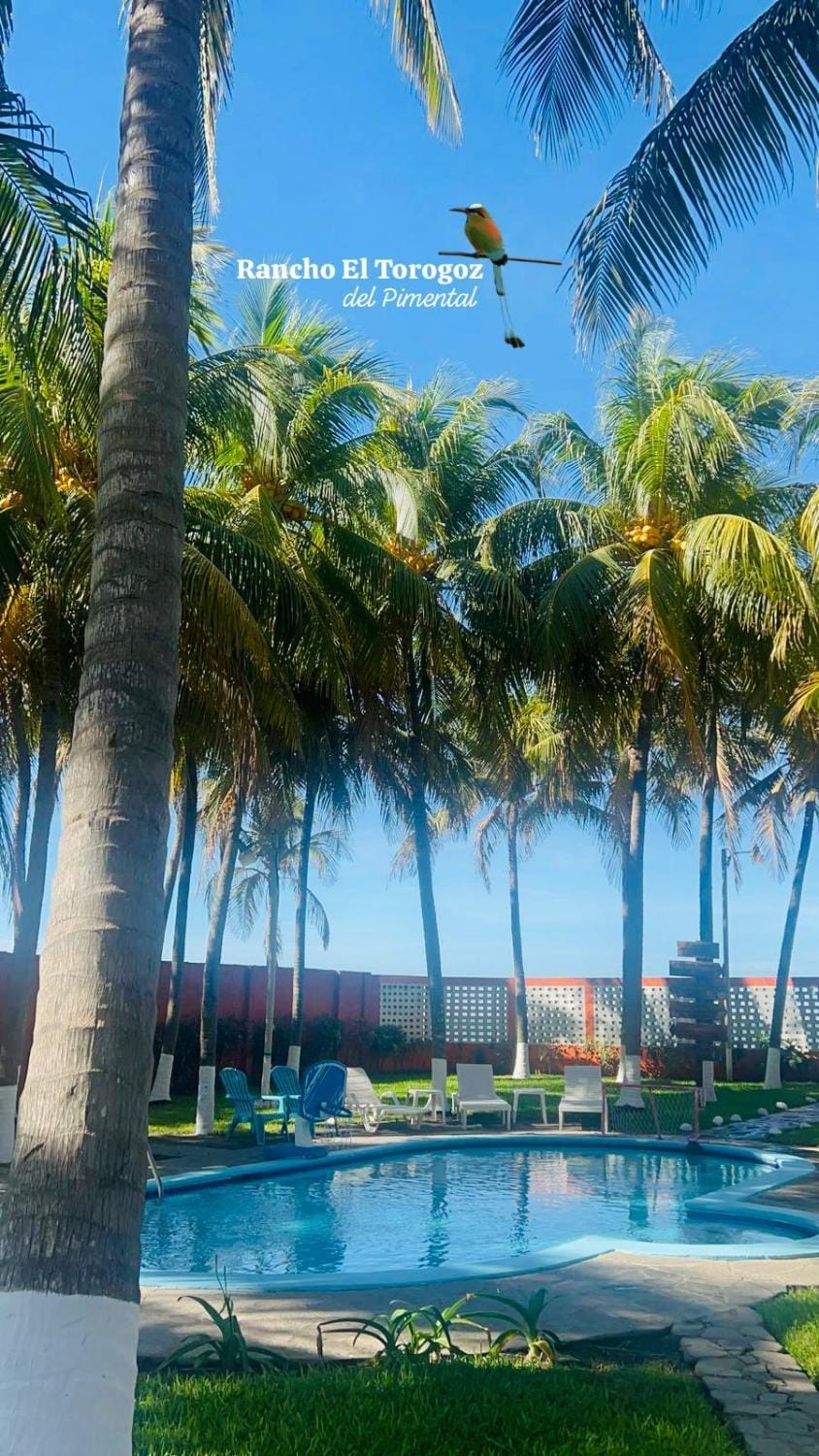 Beachfront- El Torogoz del Pimental House in El Salvador