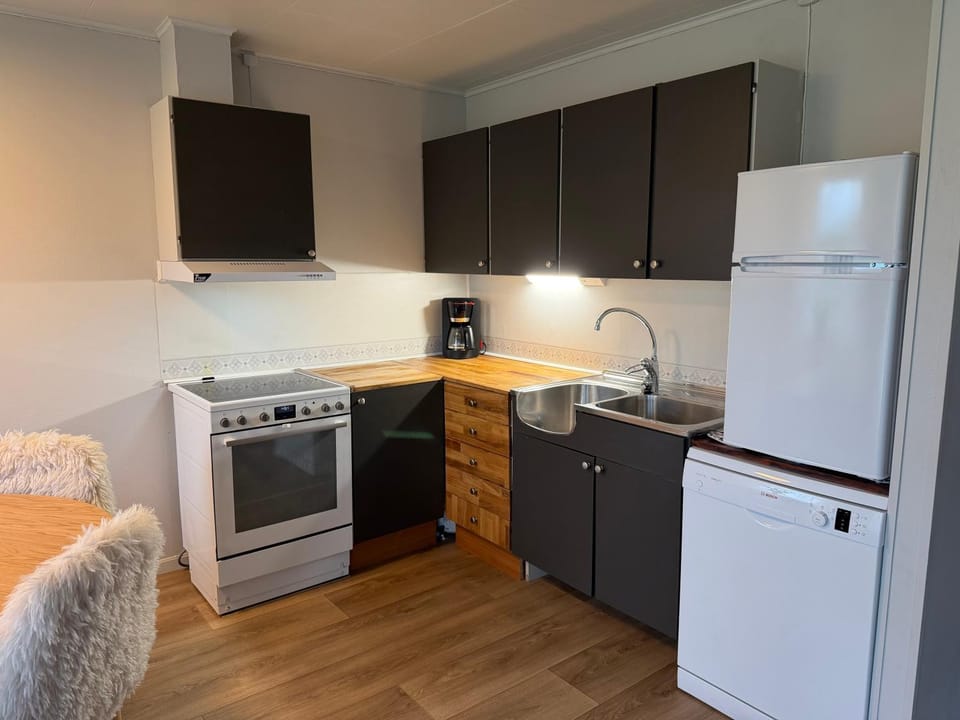 Coffee/tea facilities, Kitchen or kitchenette, dishwasher, oven, stove