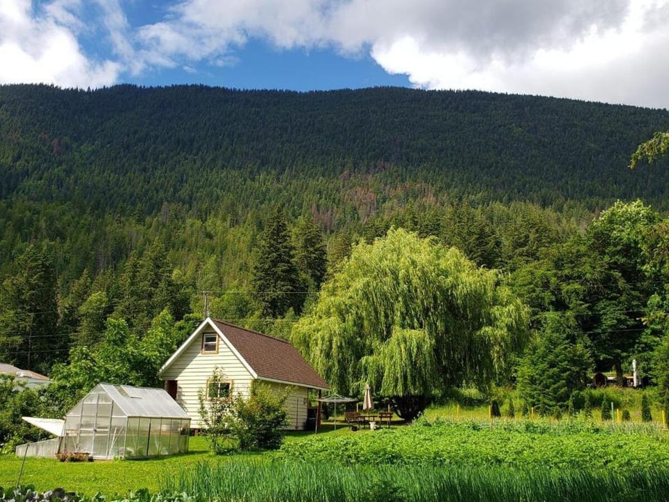 Garden, Mountain view