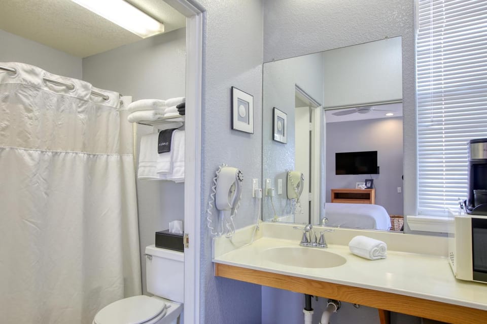 Pacific Plaza #105 Studio - Oyster Outlook - StudioD-King House in Oceano