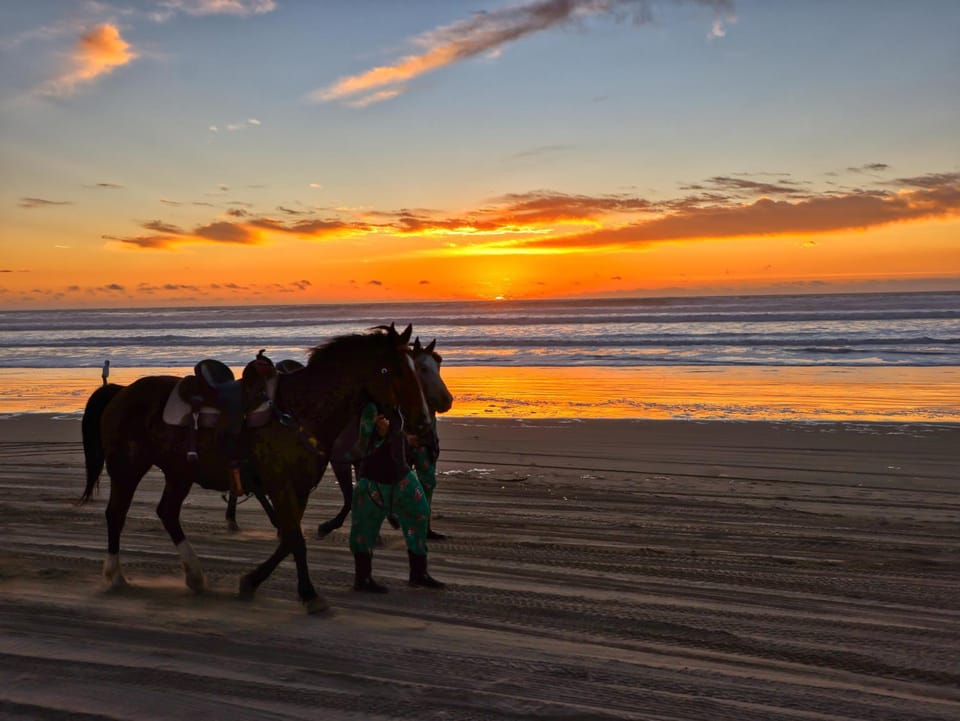 Pacific Plaza #409 - Peaceful Pearl - 1BdrmUp-K-QSofa House in Oceano