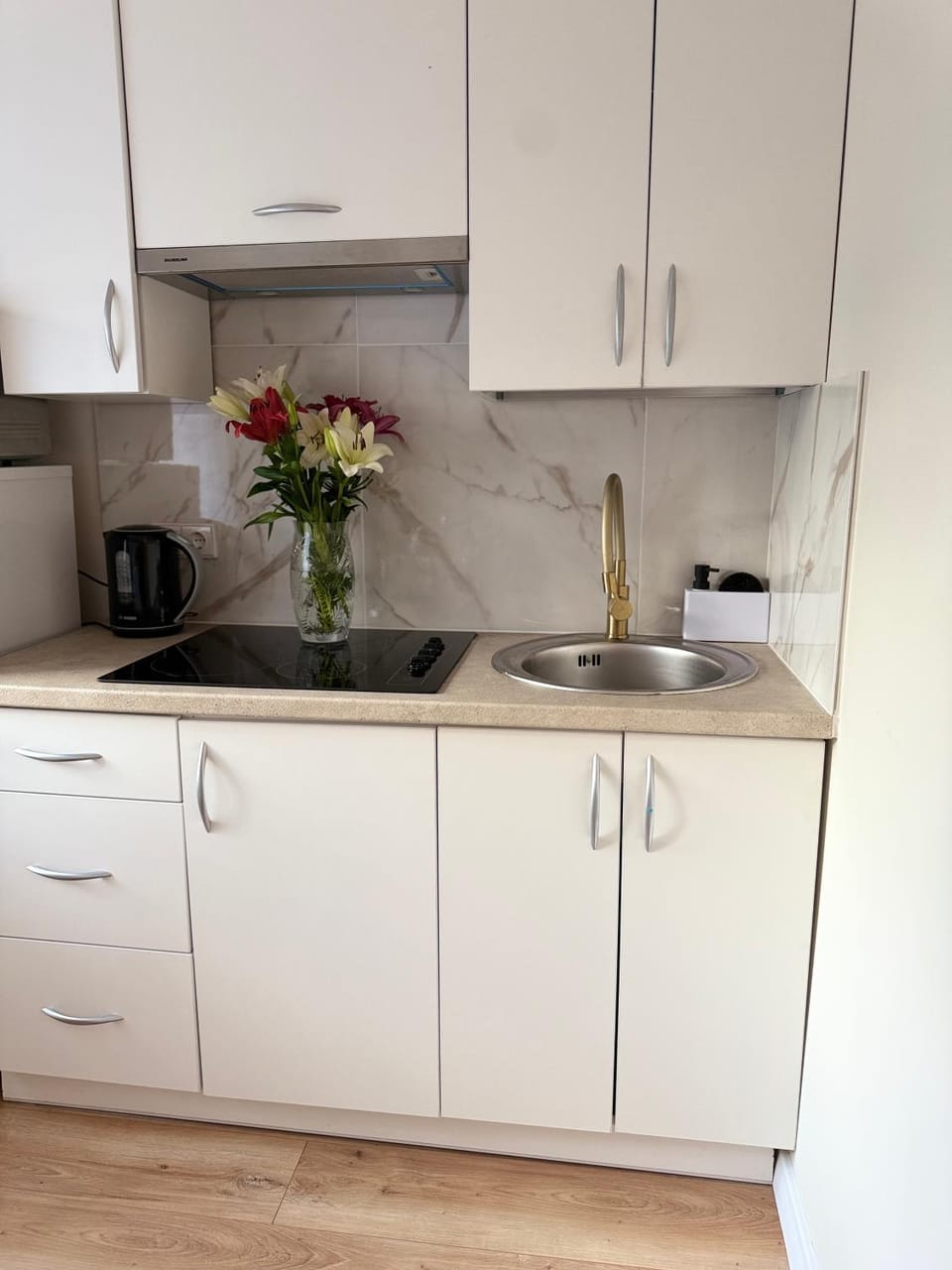 NESTAa Apartment in Lithuania