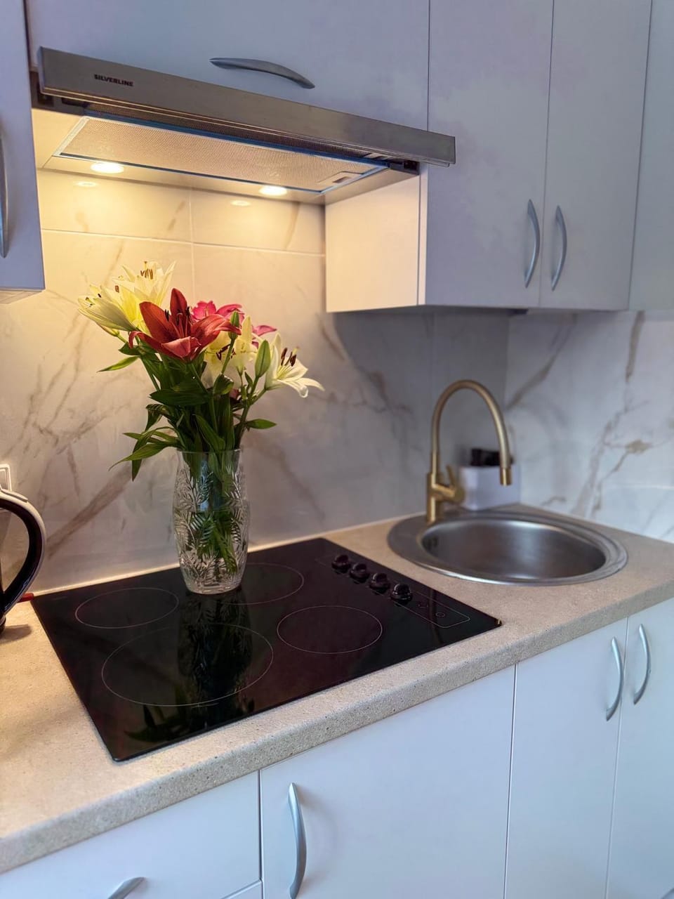 NESTAa Apartment in Lithuania