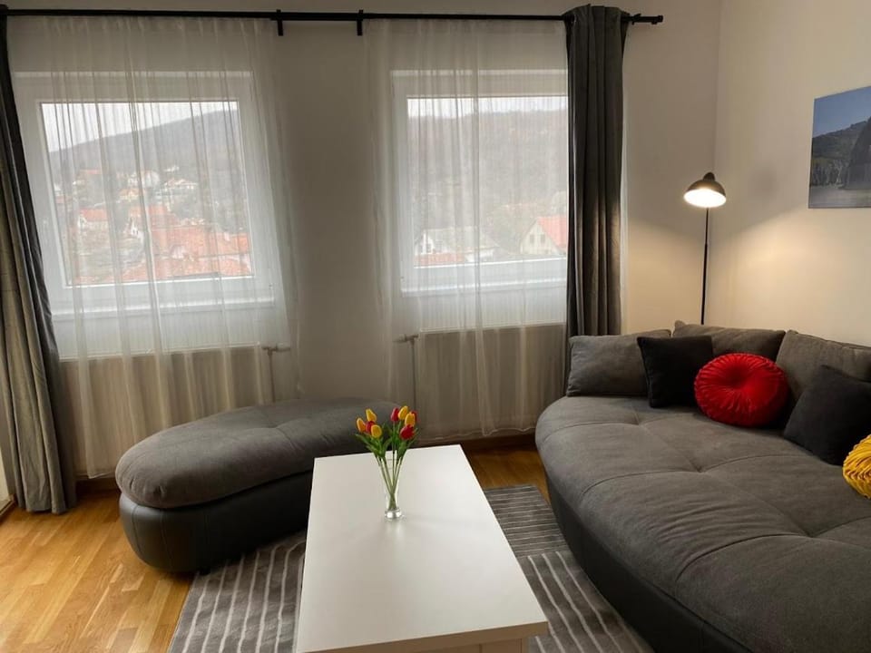 Golubica Apartment in Serbia