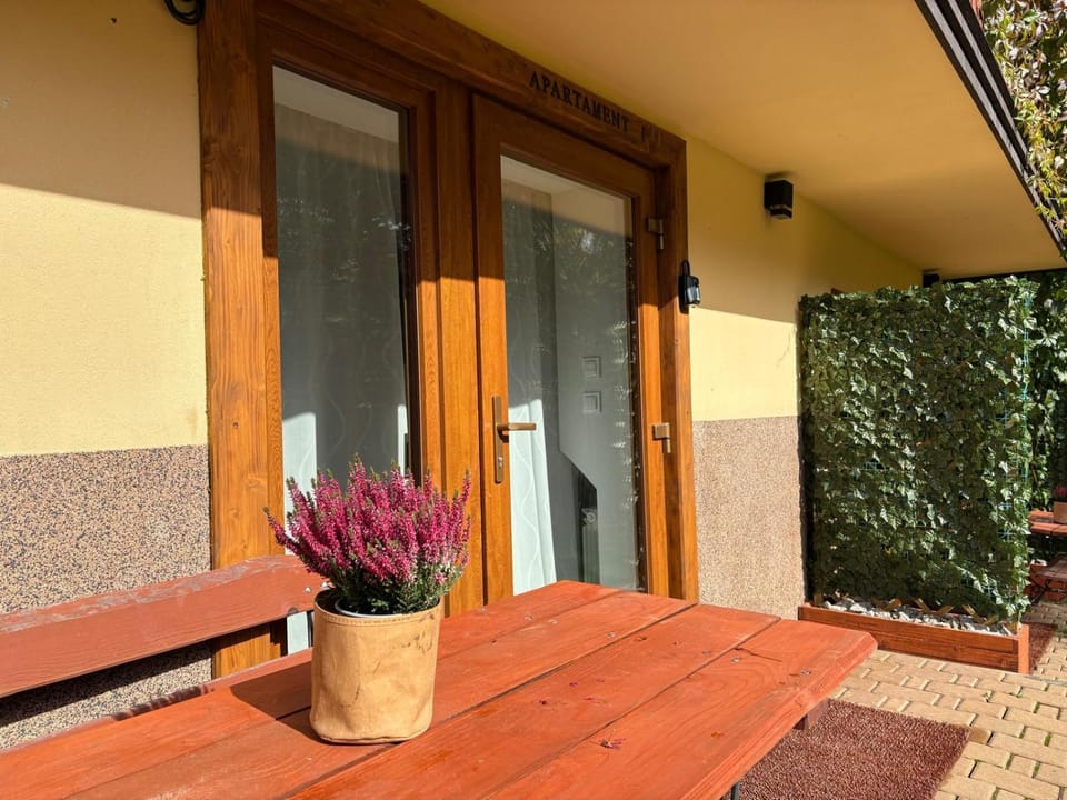 Apartament, Studio, Pokój NAD POTOKIEM Apartment in Zakopane