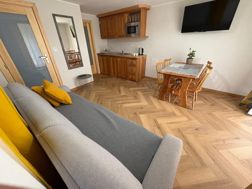 Apartament, Studio, Pokój NAD POTOKIEM Apartment in Zakopane