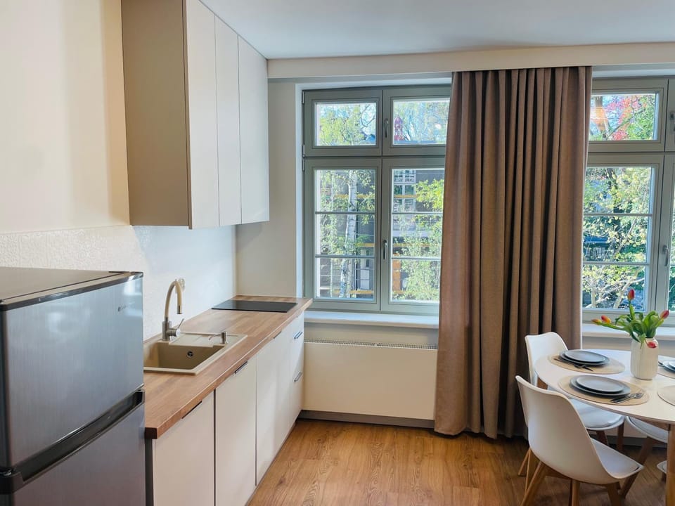 Kitchen or kitchenette, Dining area, oven, stove