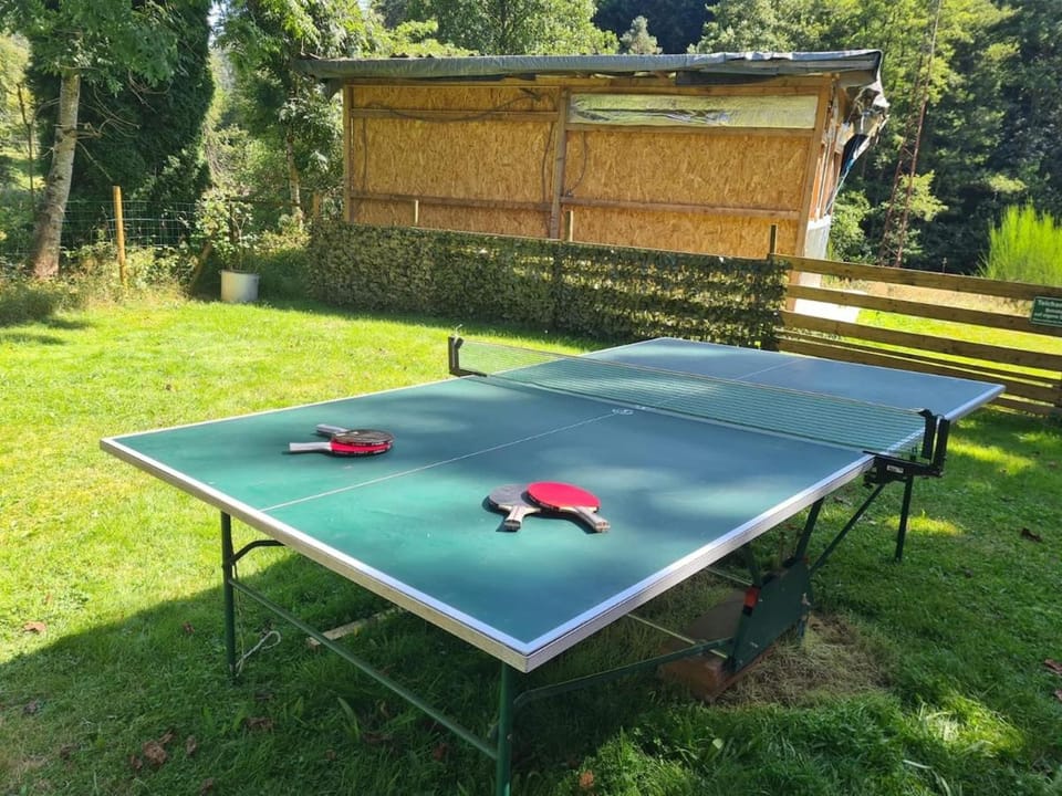 Table tennis