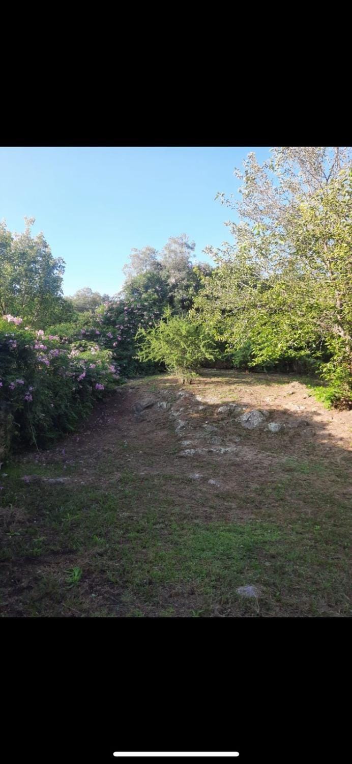 Natural landscape, Garden