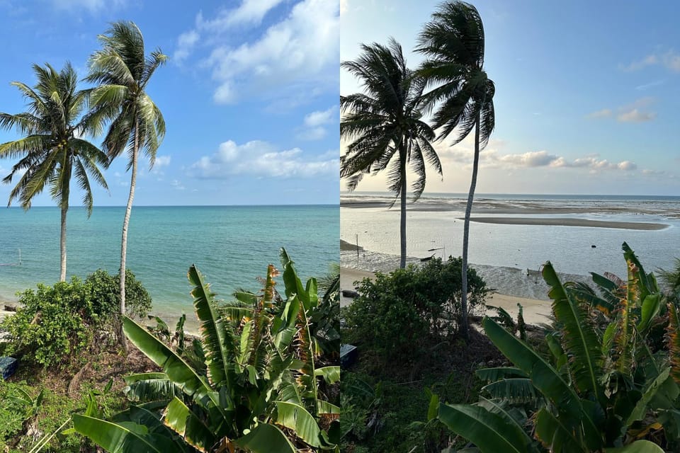 Sea view