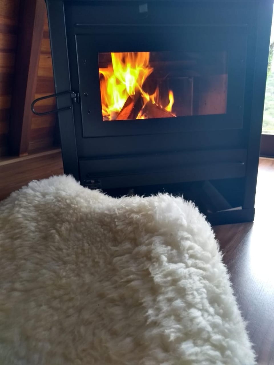 Cabana da Araucária Chalet in São Francisco de Paula