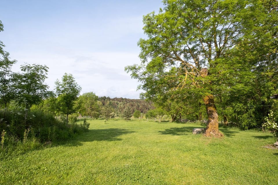 Gîte La Campone 6/10 personnes House in Auvergne-Rhône-Alpes