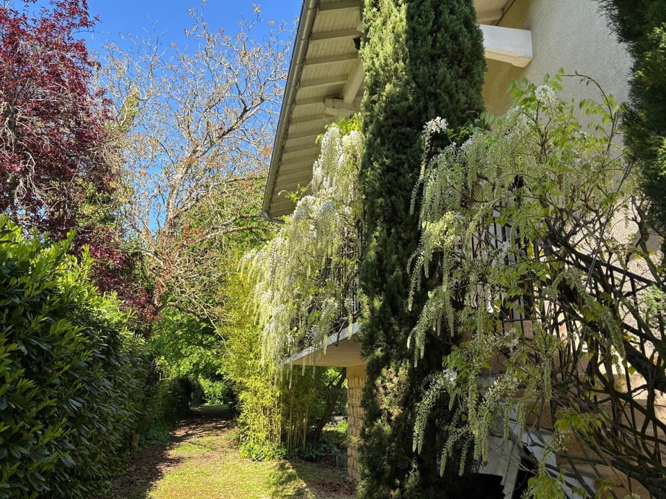 Property building, Garden, Garden