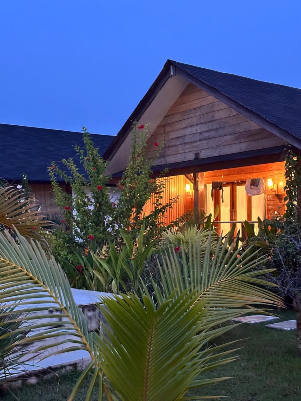 Property building, Night, Garden, Garden view