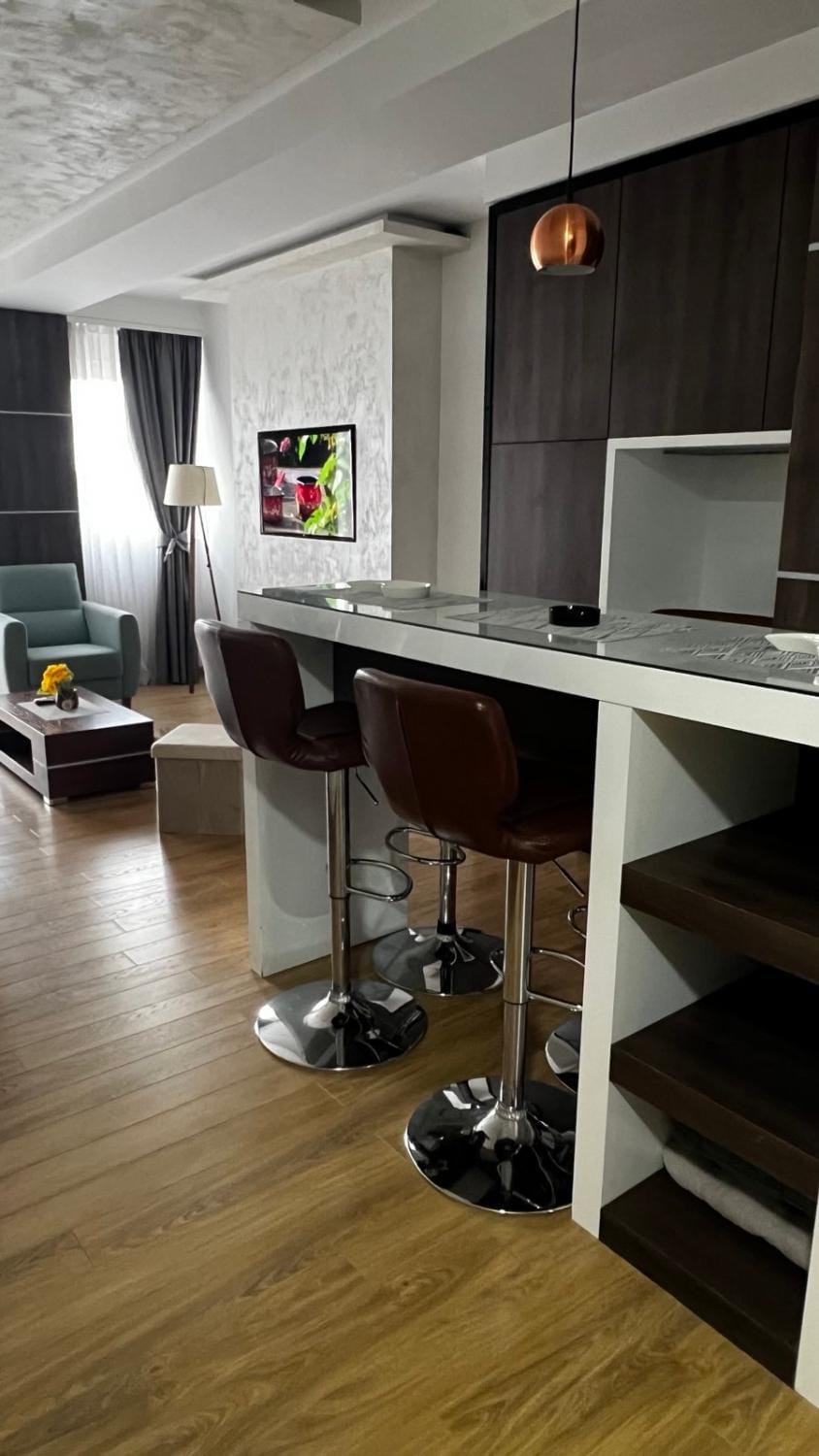 NumberOne1 Apartment in Zlatibor