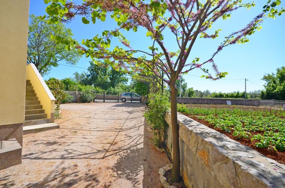 Property building, Garden