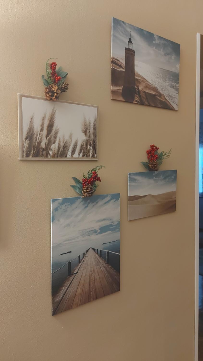 La casa di Andrea Apartment in Genoa