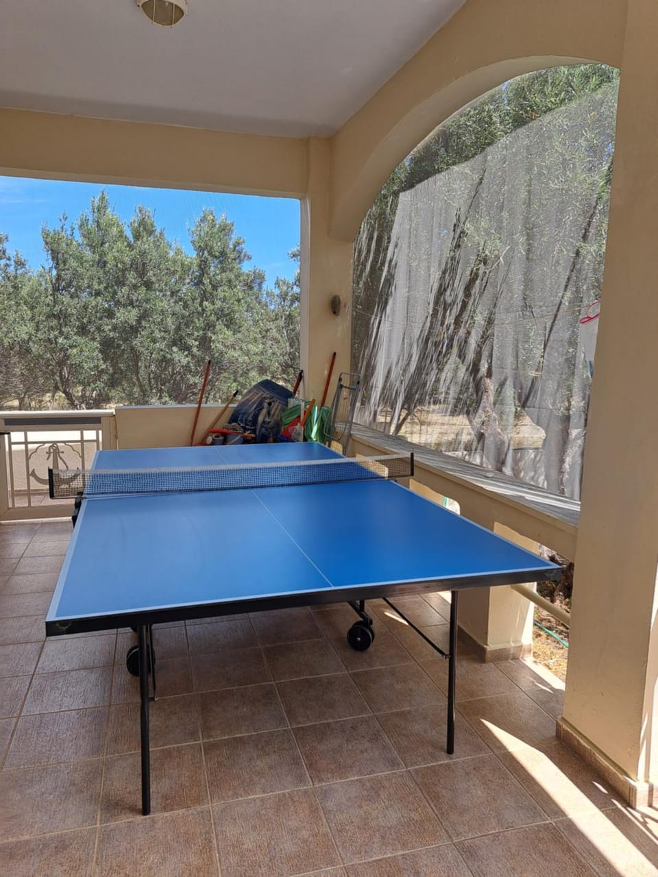Table tennis