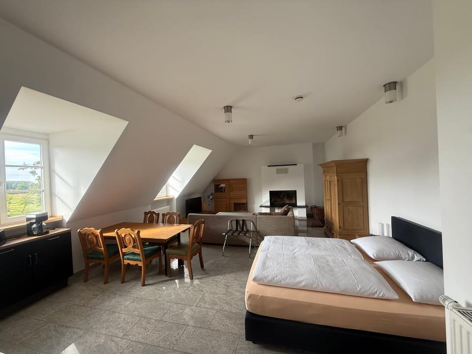 Bed, TV and multimedia, Kitchen or kitchenette, Living room, Seating area, Dining area, Bedroom
