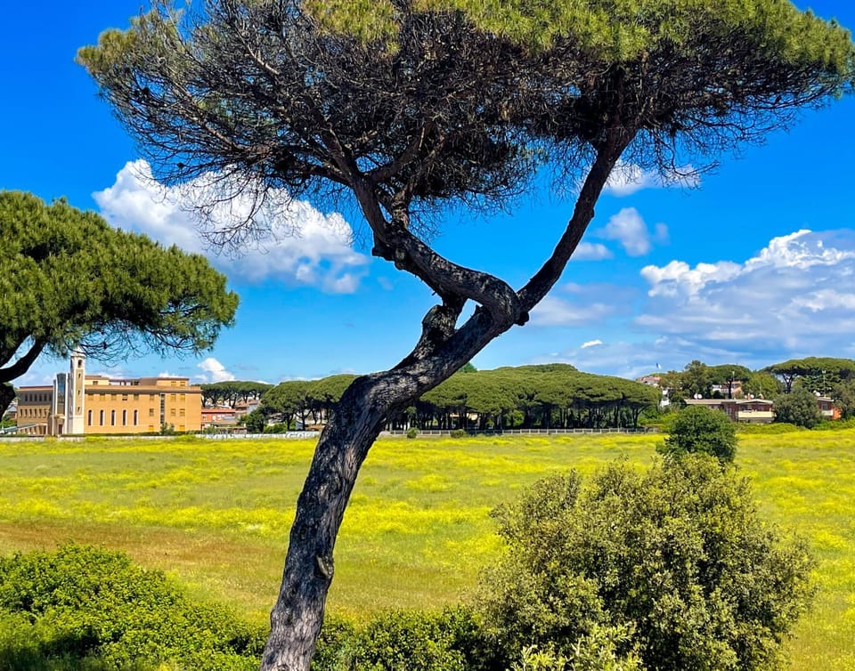 Nearby landmark, Spring, Day, Natural landscape