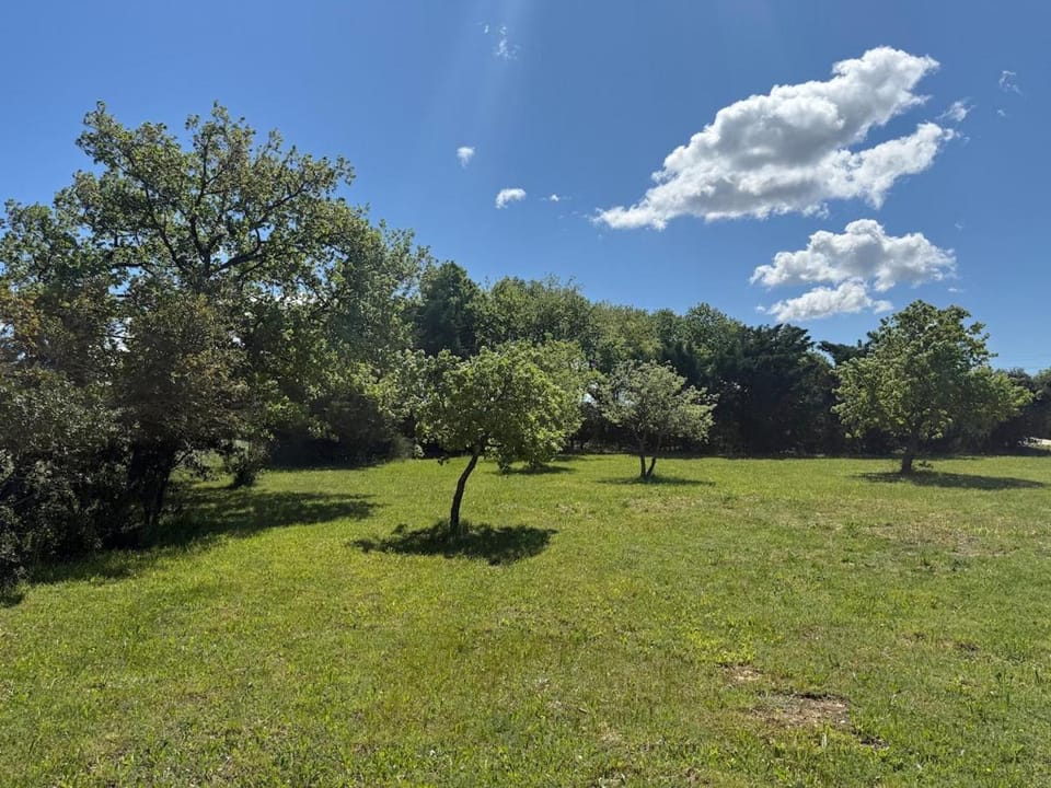 Natural landscape, Garden, Garden view