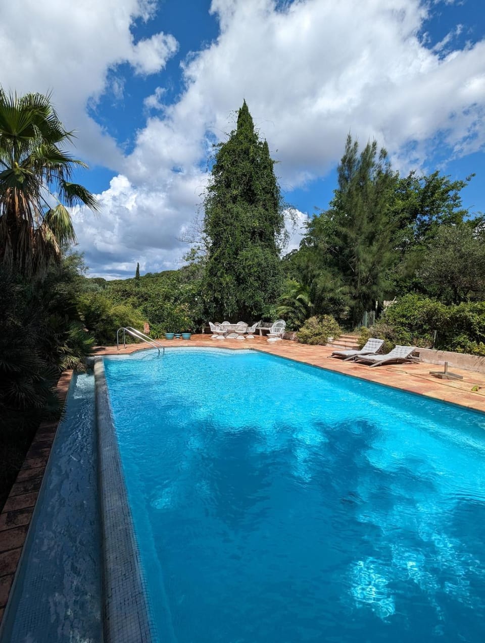 Natural landscape, Pool view, Swimming pool, sunbed
