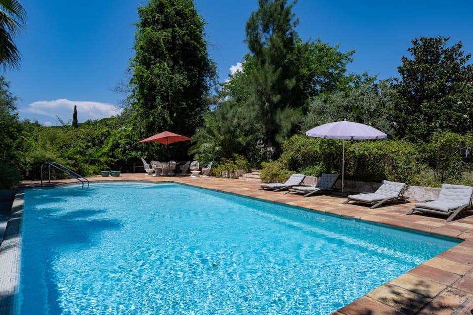 Day, Garden, Garden view, Swimming pool, sunbed