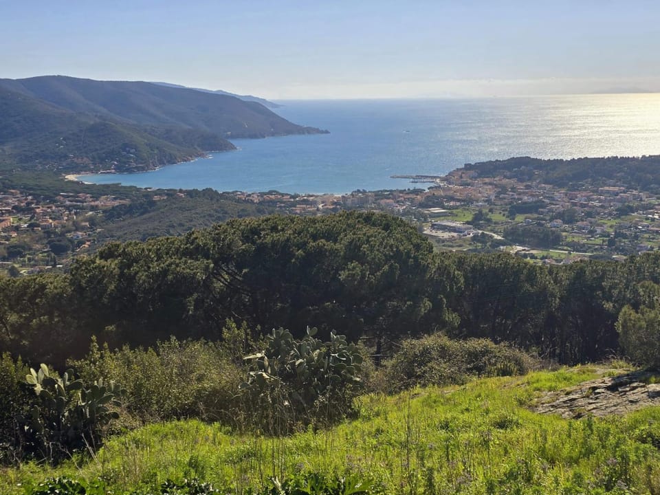 Natural landscape