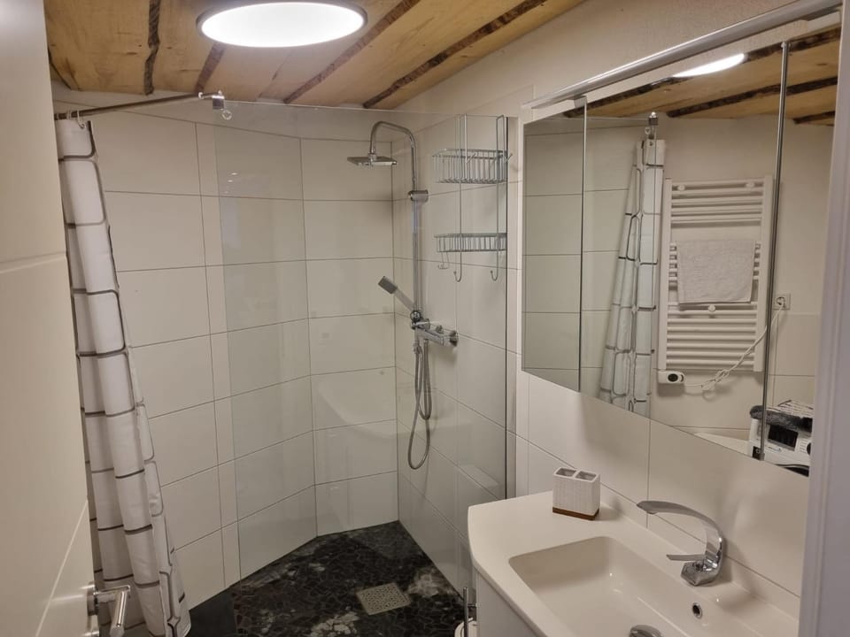 Shower, Toilet, towels