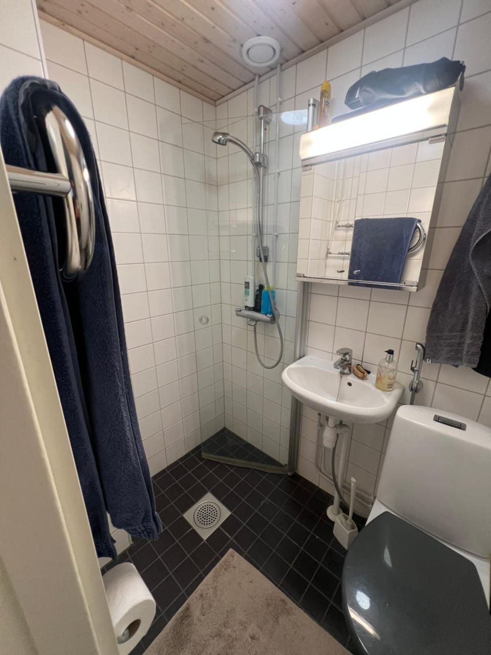 Toilet, Bathroom