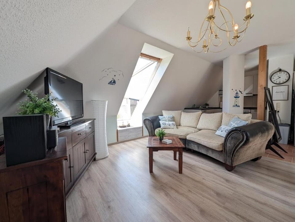 TV and multimedia, Kitchen or kitchenette, Living room, Photo of the whole room, Seating area