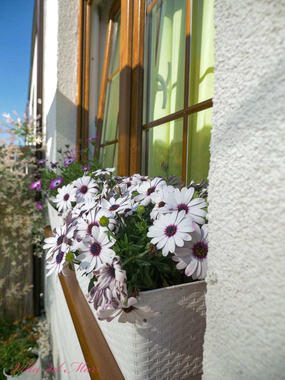 Patio, Facade/entrance, Garden