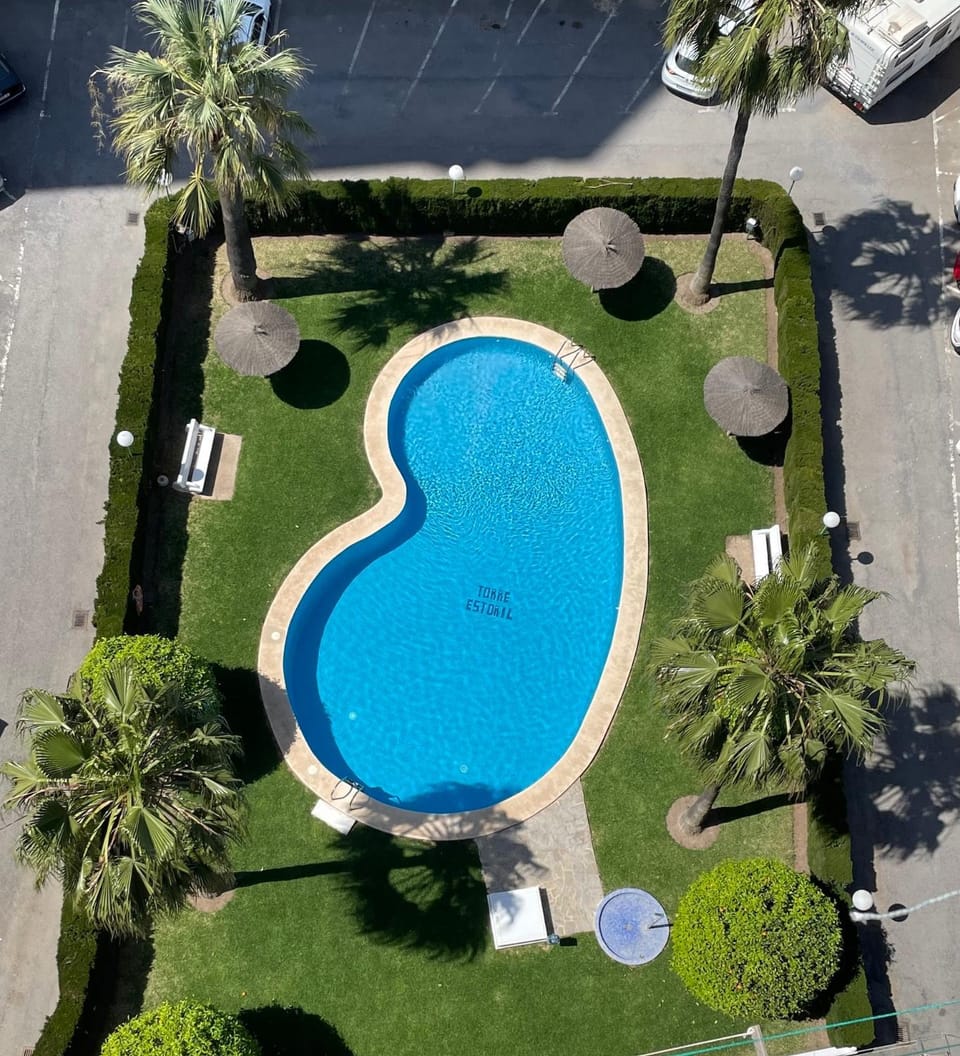 Garden, Garden view, Pool view, Swimming pool, Swimming pool, sunbed