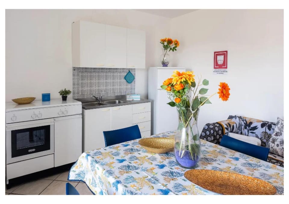 Spring, Summer, Kitchen or kitchenette, Autumn