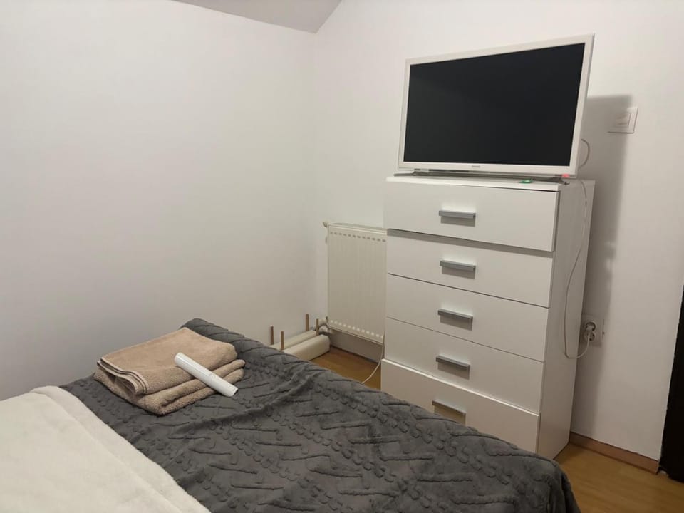 Casa cu brad Bed and Breakfast in Romania