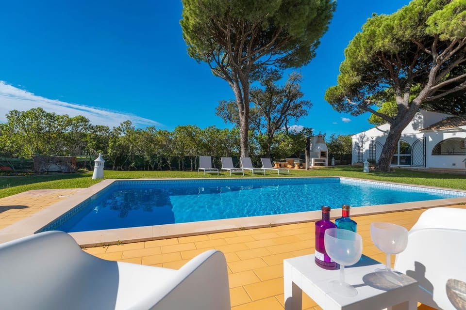 Day, Garden, Swimming pool