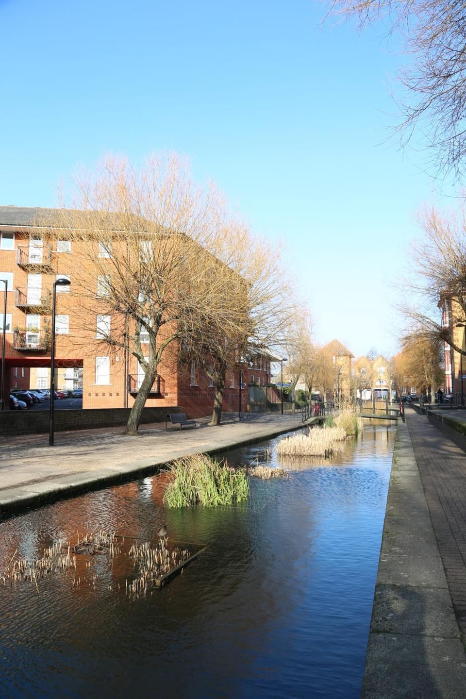 Neighbourhood, Natural landscape, Lake view, River view, Street view
