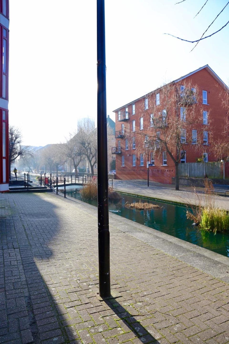 Neighbourhood, Lake view, Street view
