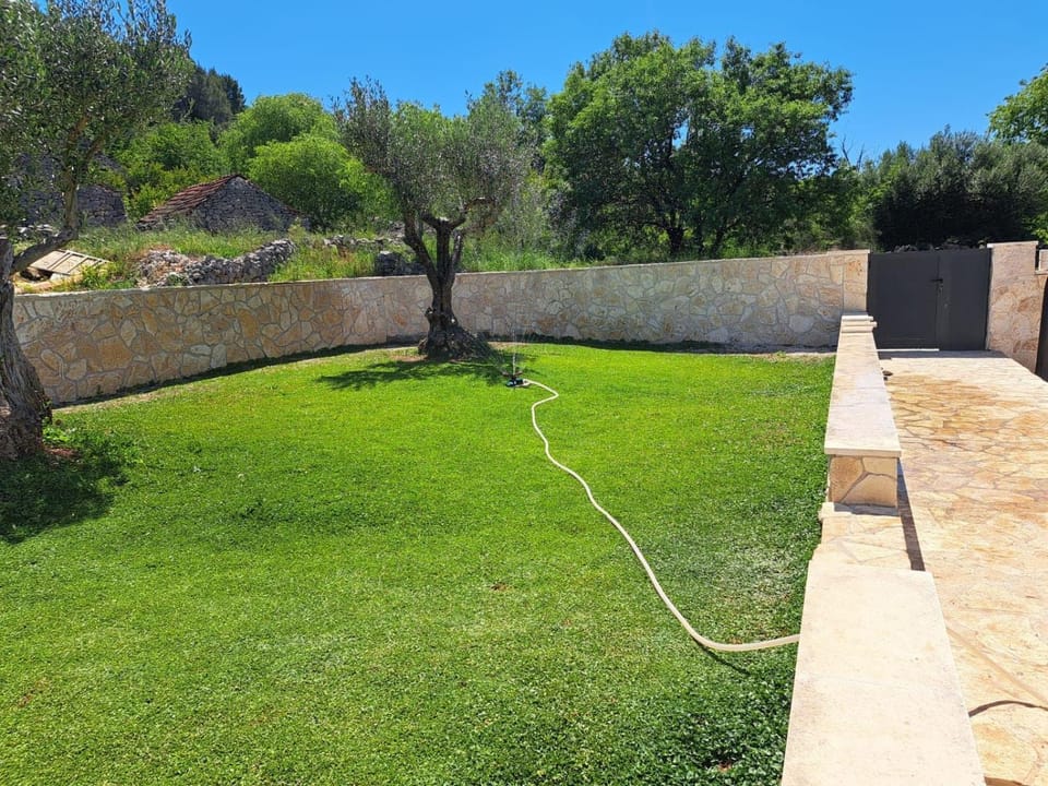 Natural landscape, Garden