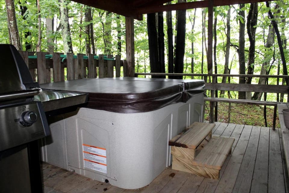 Stunning Pet-Friendly Cabin Rental near Charleston, West Virginia Cabin in Hico
