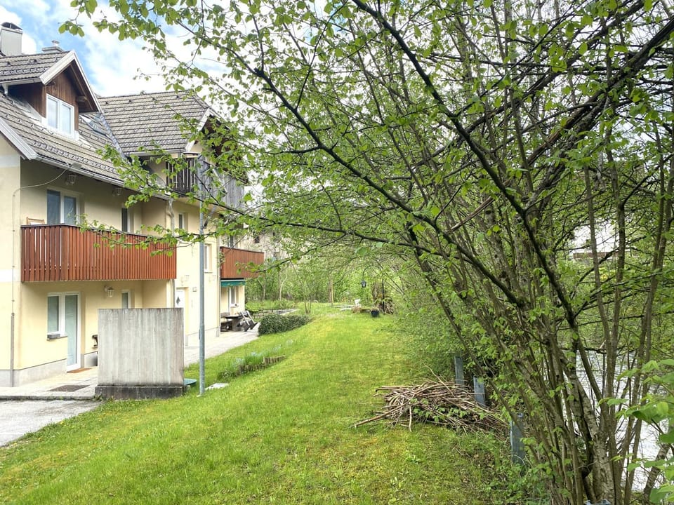 Property building, Garden, Garden view