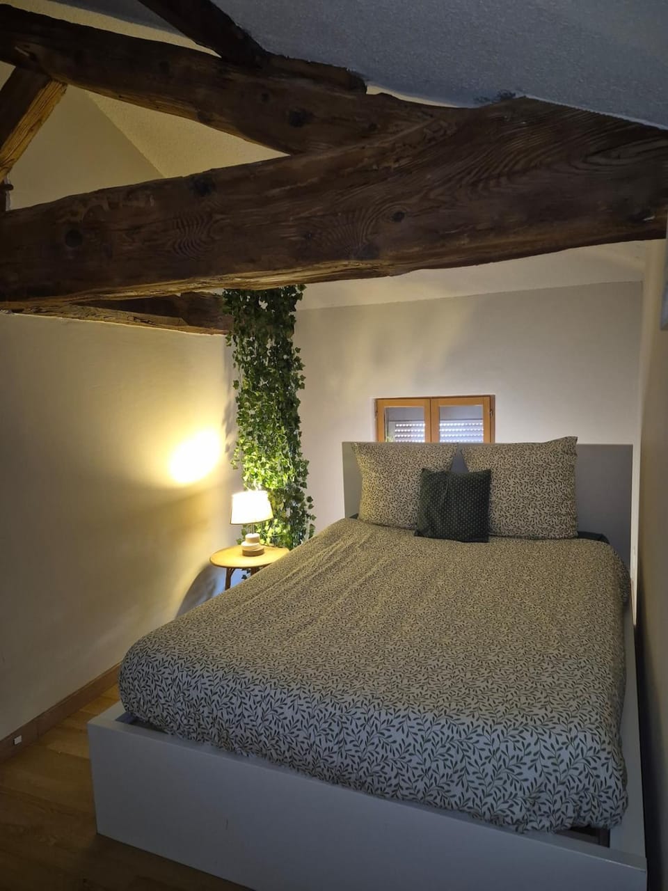 Joli duplex en plein cœur du centre ville Apartment in Villefranche-sur-Saone