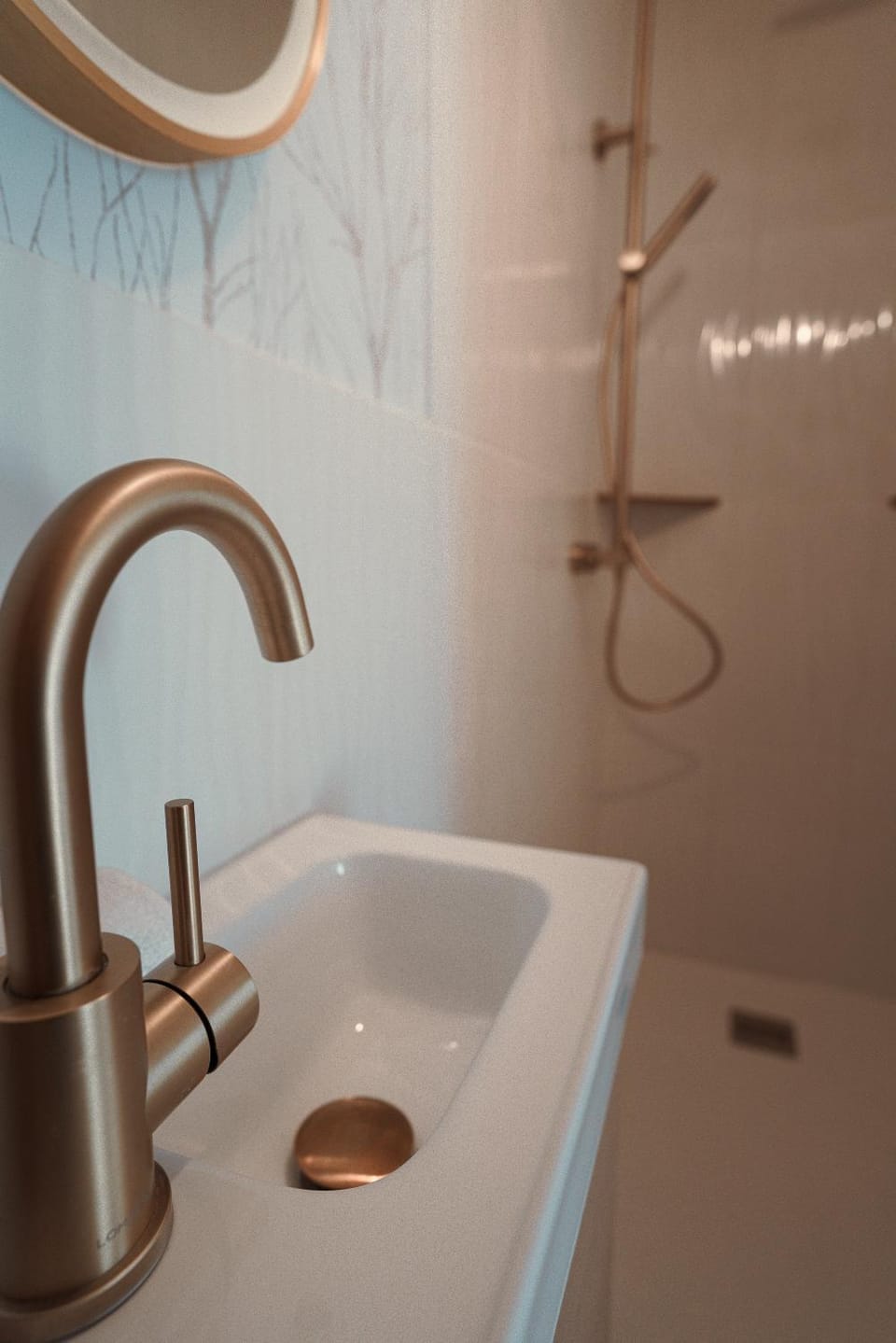 Shower, Bathroom, Decorative detail