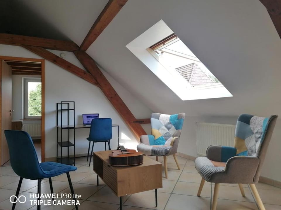 Le Bretzel Apartment in Grand Est