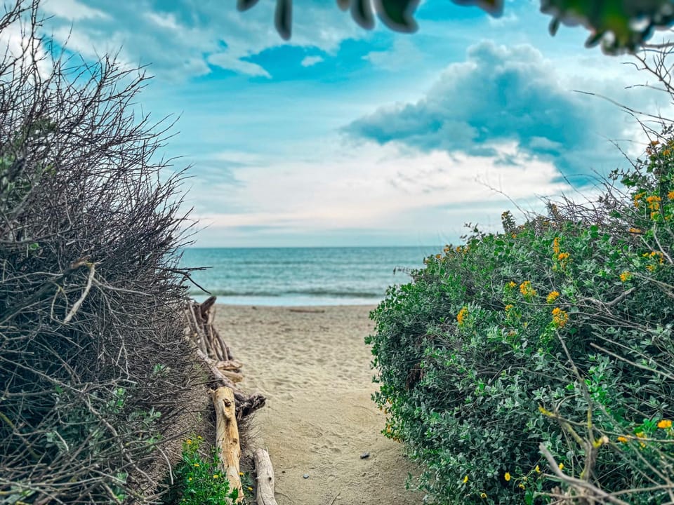 Natural landscape, Beach, Sea view